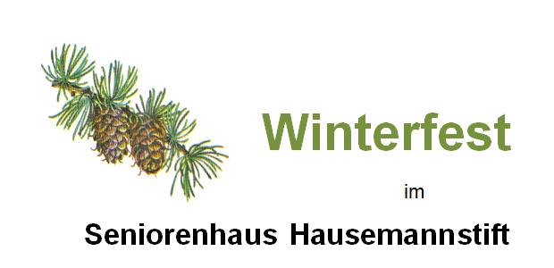Mehr über den Artikel erfahren Winterfest im Seniorenhaus Hausemannstift