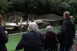 Mehr über den Artikel erfahren Ausflug in den Berliner Zoo