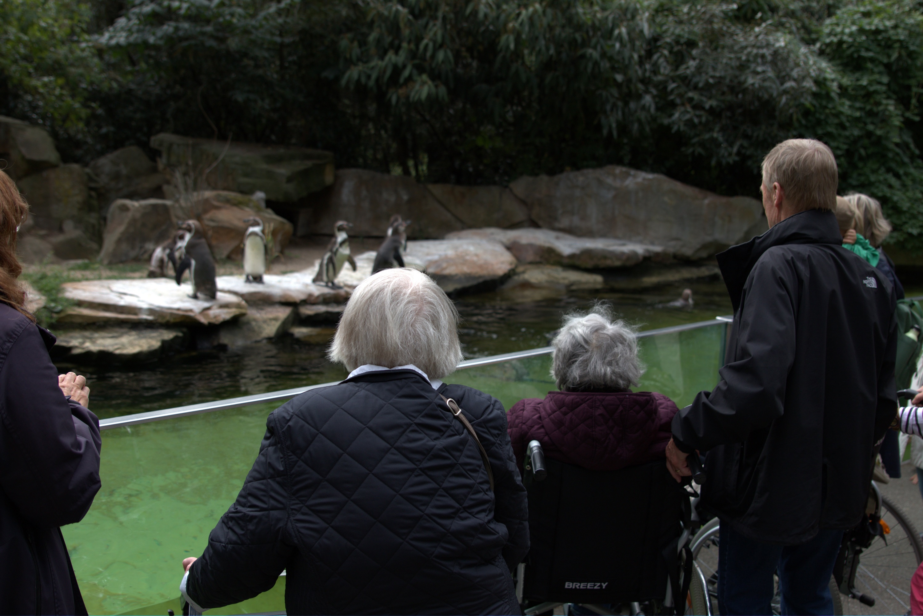 You are currently viewing Ausflug in den Berliner Zoo