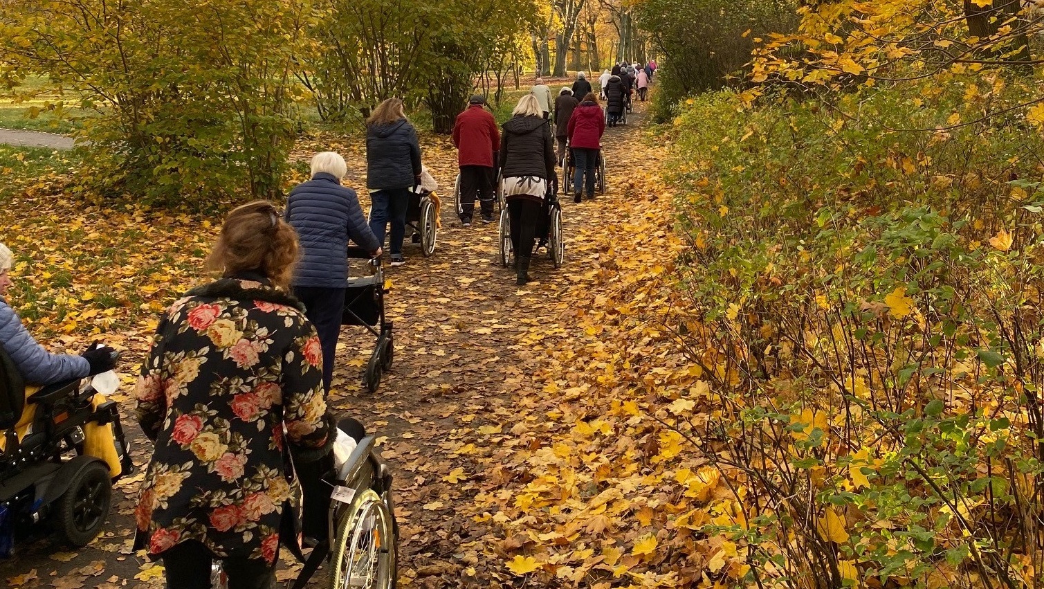 You are currently viewing Herbstspaziergang