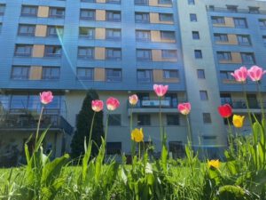 Mehr über den Artikel erfahren Frühlingsgruß der Gartengruppe im Seniorenheim Schleusinger Straße